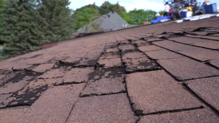 Best Roof Maintenance and Cleaning  in Little Elm, TX