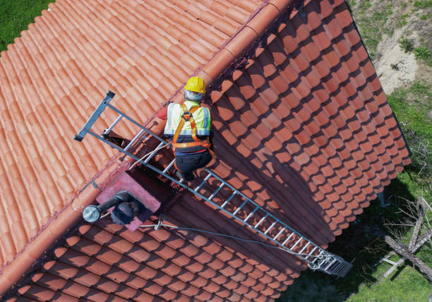 Best Asphalt Shingles Roofing  in Little Elm, TX